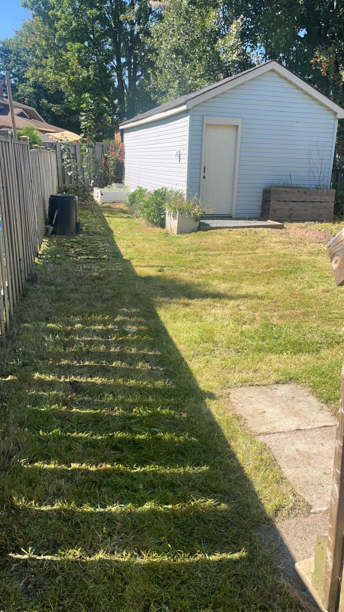 Fresh sod installation along a residential property