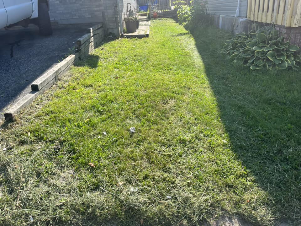 Clean lawn maintenance along the side of a home