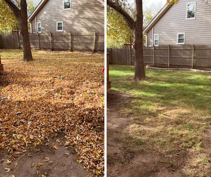 Before and after yard cleanup comparison