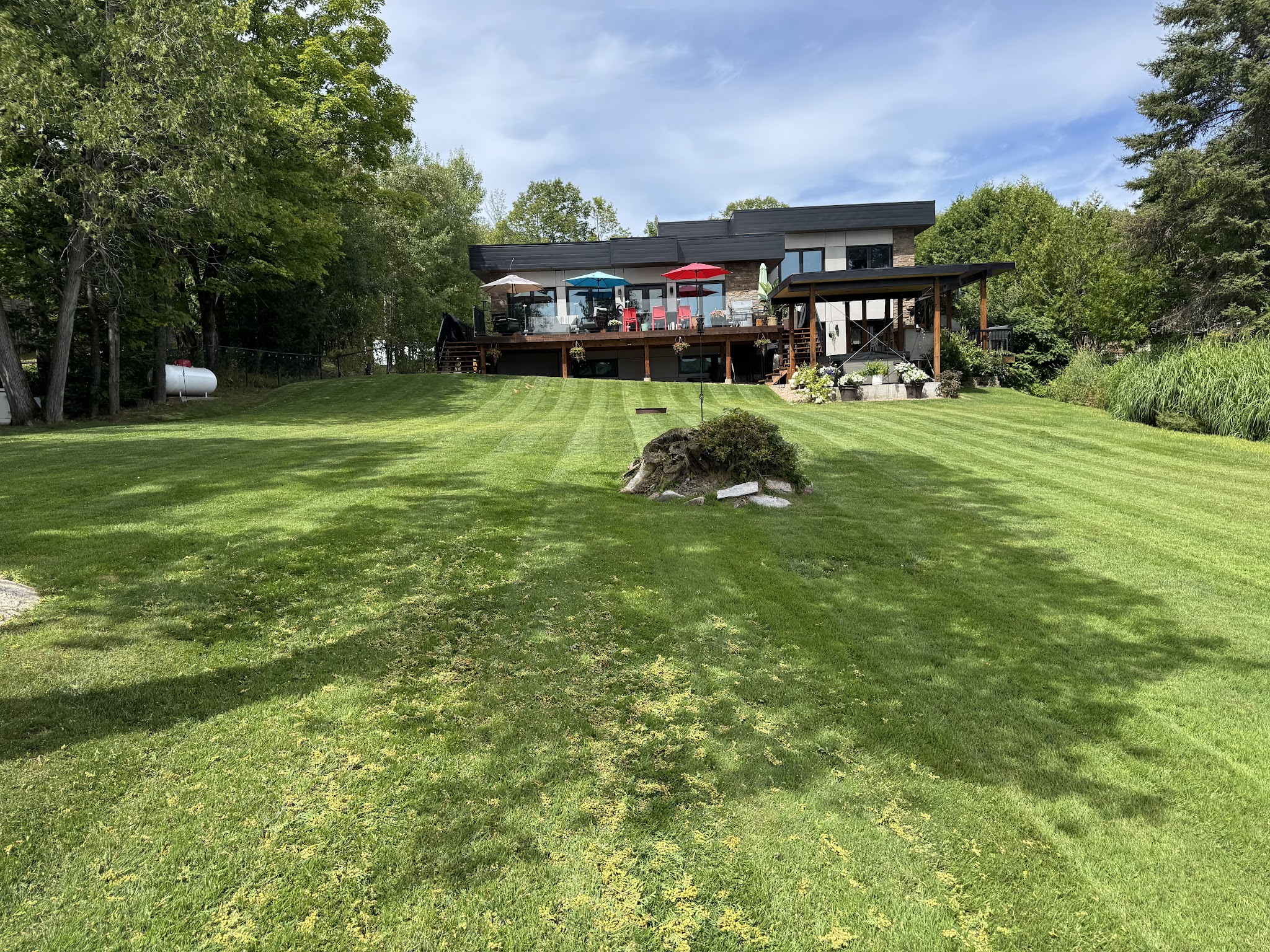 Beautifully maintained lawn with clean mowing lines in North Bay